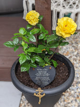 Load image into Gallery viewer, My Dad, My Hero - Slate Heart