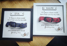 Load image into Gallery viewer, Personalised In loving memory Dog Collar Box Frame