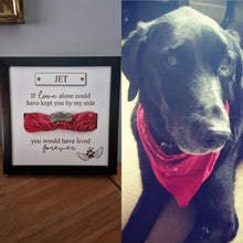 Load image into Gallery viewer, Personalised In loving memory Dog Collar Box Frame