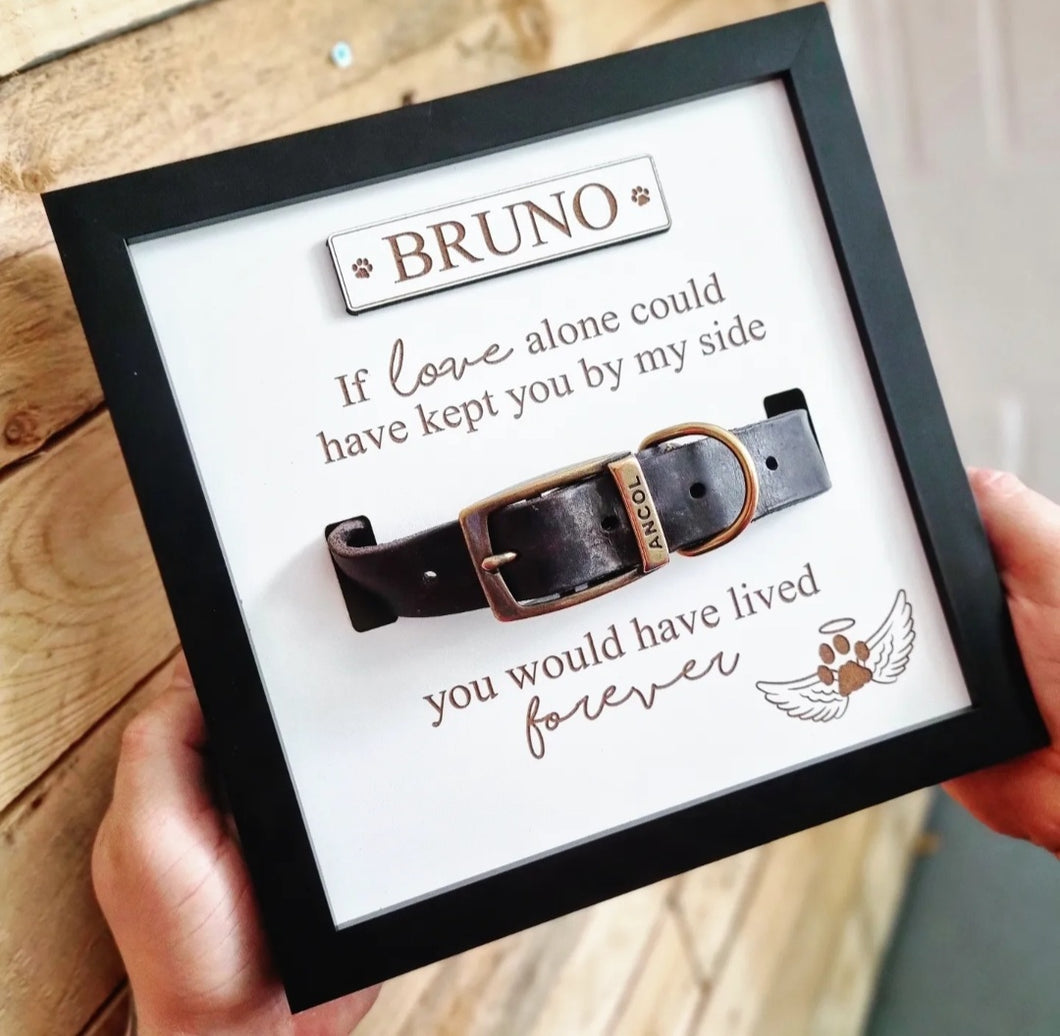 Personalised In loving memory Dog Collar Box Frame