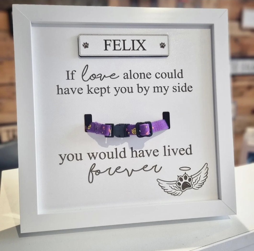 Personalised In loving memory Cat Collar Box Frame