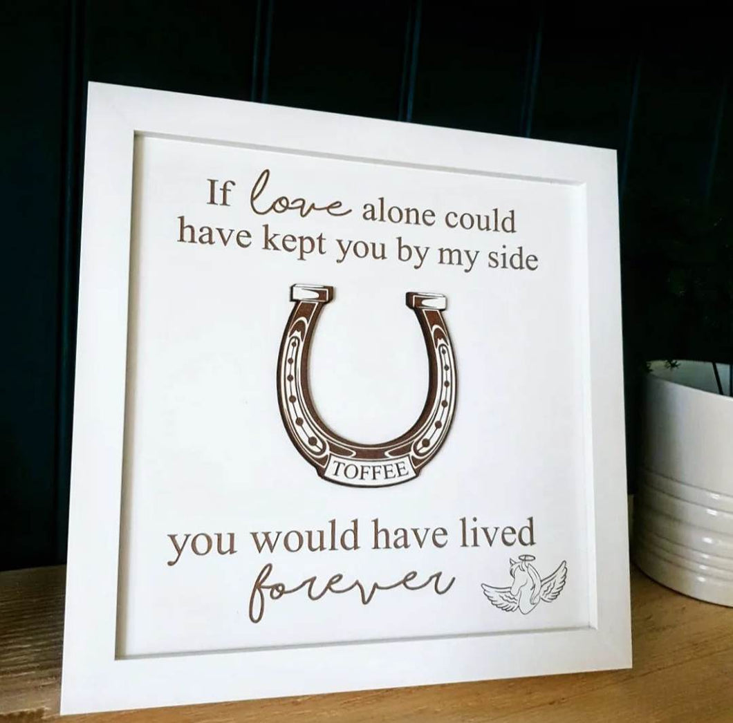 Personalised In loving memory Horse/Pony Box Frame